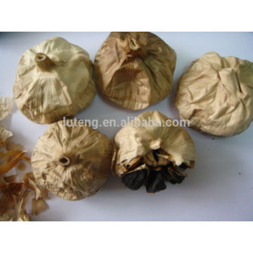 fermentation box black garlic supply with good quality